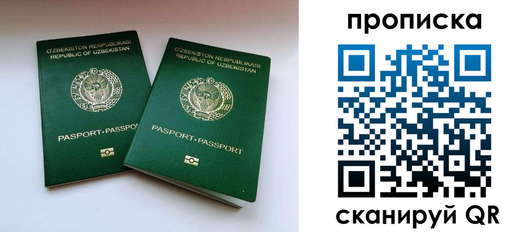 прописка поиск в Суздали